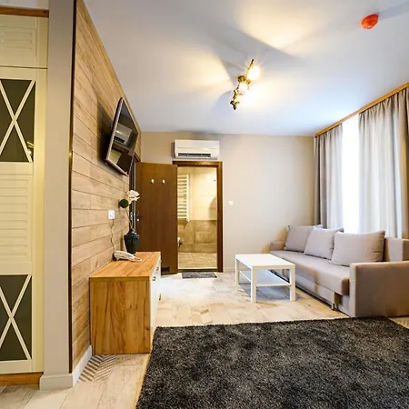 Hotel Antique Boutique Pavel Banya