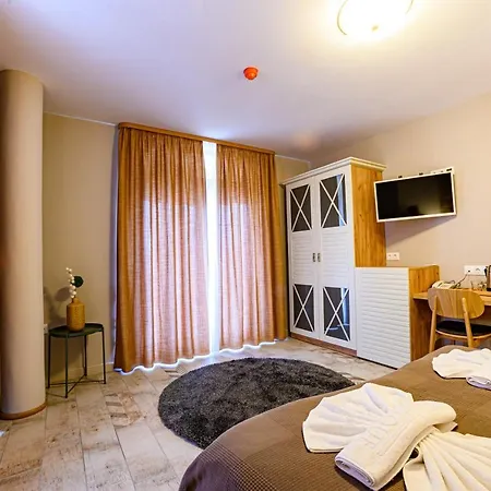 Hotel Antique Boutique Pavel Banya